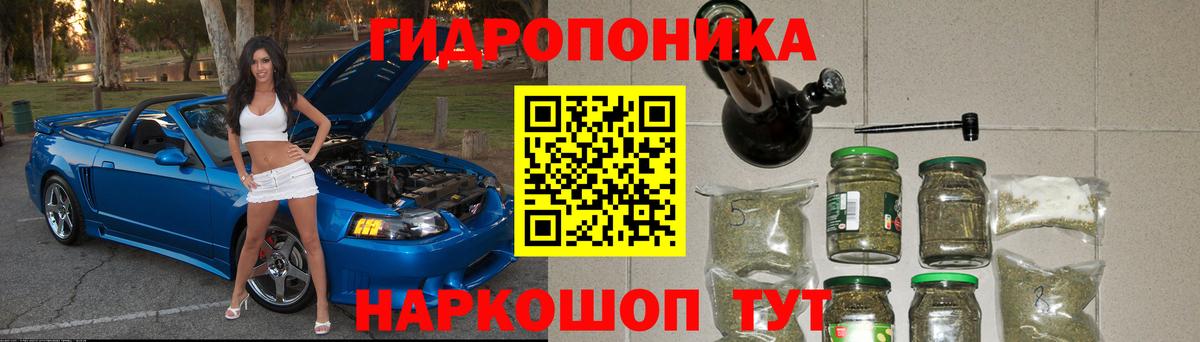 Конопля ГИДРОПОН  Бошки марихуана Bruce Banner  Холмск  Конопля ГИДРОПОН  Вход с VPN 